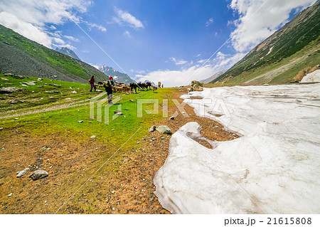 Hiking on Sonamarg mountain, Kashmir India 21615808