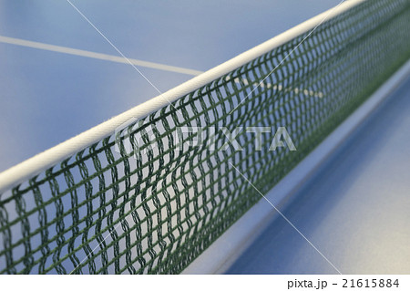 green tennis net for pingpong 21615884