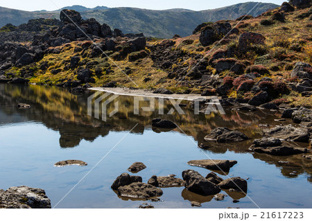 トムラウシ山の日本庭園2。9月。 トムラウシ山の日本庭園2。9月。 21617223