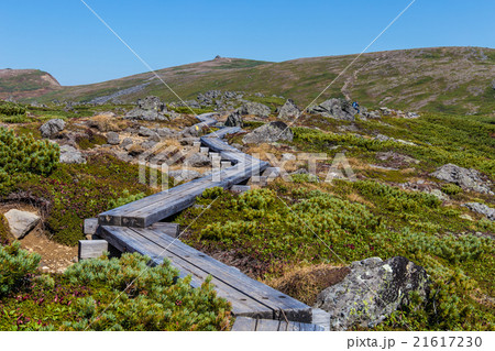 日本庭園の木道と化雲岳。9月。 21617230