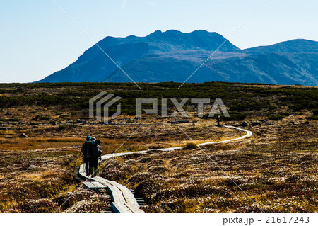 トムラウシ山を目指す登山者。9月 トムラウシ山を目指す登山者。9月 21617243