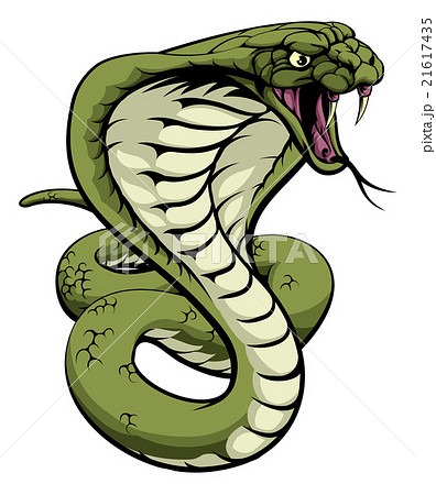 King Cobra Snakeのイラスト素材 21617435 Pixta