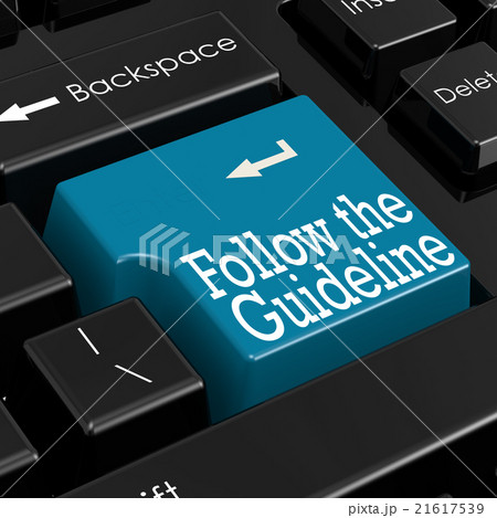 Follow the Guidelines Concept. 3D Render. Follow the Guidelines Concept. 3D Render. 21617539