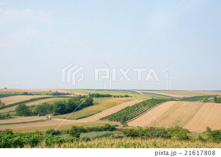 Fields and hills with wind power station  21617808