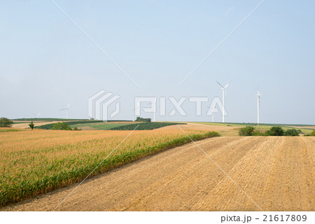 Nature with wind power station  21617809