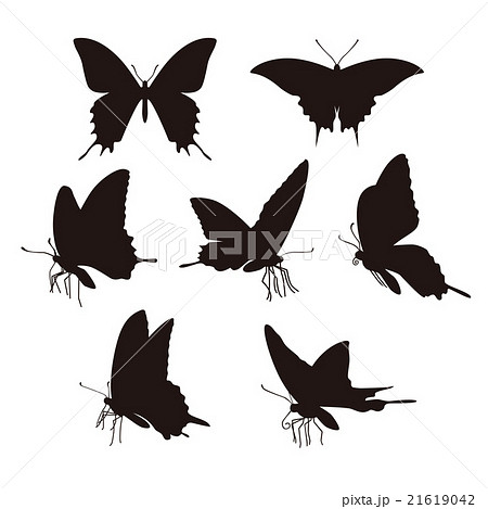 最も人気のある 白黒 蝶 イラスト 横向き Imagejoshmxo
