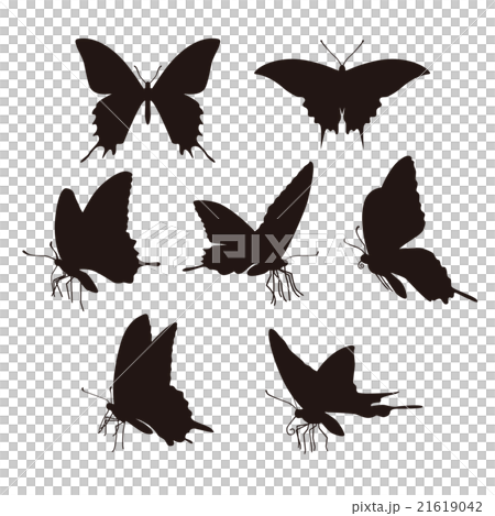 蝶のシルエット 21619042