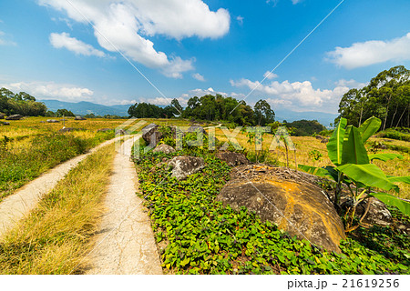 Country road crossing rice paddies 21619256