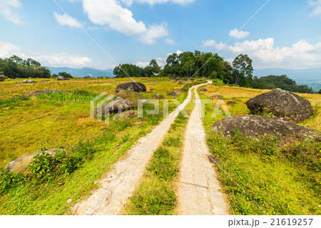 Country road crossing rice paddies Country road crossing rice paddies 21619257