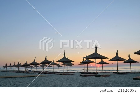 Silhouettes of parasols. 21620055