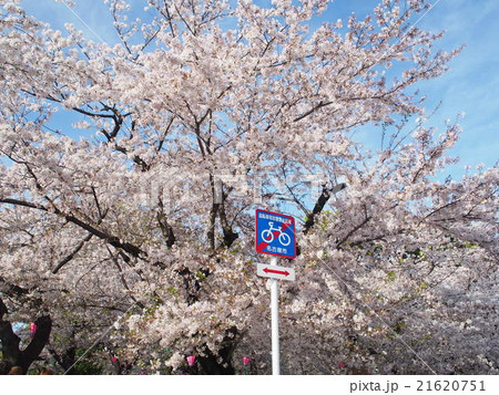 鶴舞公園 鶴舞公園 21620751