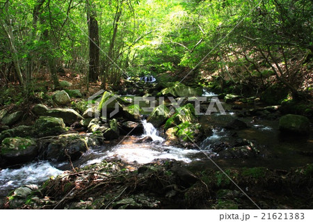 るり渓 るり渓 21621383