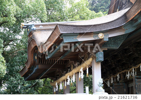 金刀比羅宮 金刀比羅宮 21621736