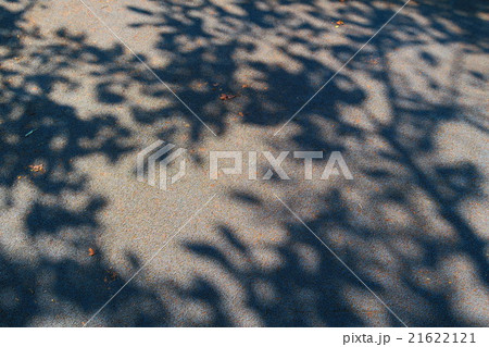 アスファルトの上の木漏れ日 21622121