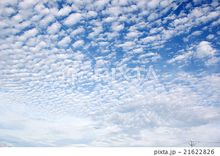 うろこ雲の写真素材