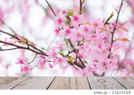 Wooden terrace 21624189