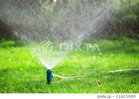 Lawn sprinkler spraying water over grass Lawn sprinkler spraying water over grass 21625000