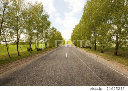 Spring road . countryside  21625233