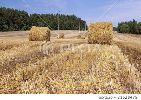 haystacks straw . summer haystacks straw . summer 21628478