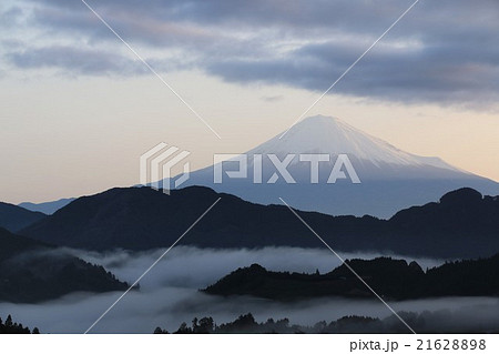 春の朝　富士山と雲海 21628898
