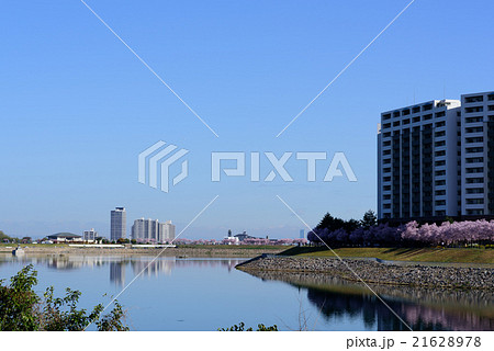 狭山池　春の情景 21628978