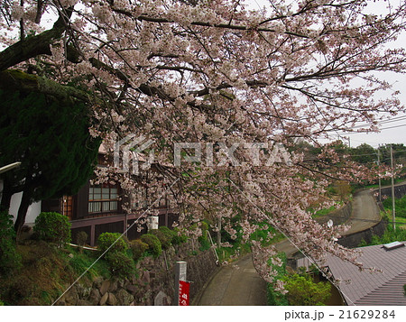 佐奈田霊社　小田原市 21629284