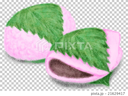 Sakuraboshi 2 kinds 21629417
