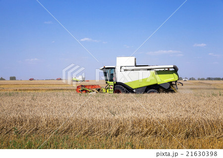 Harvester in the field   21630398