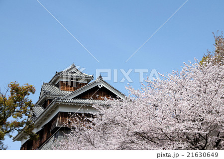 熊本城 熊本城 21630649