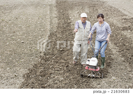 農業体験 21630683