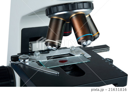 microscope isolated 21631816