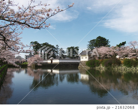 桜の小田原城　 21632068