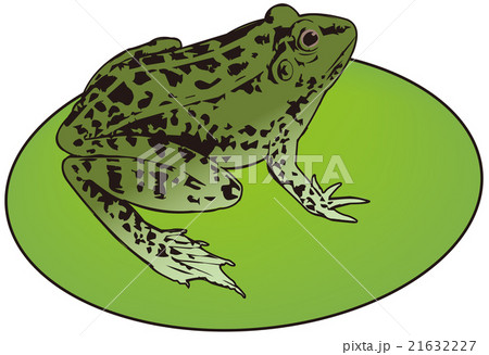蛙 蛙 21632227