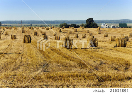 haystacks straw , summer 21632895