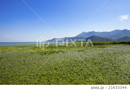 the lake . summertime the lake . summertime 21633344