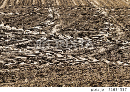 land plowed field   21634557