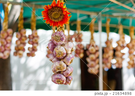 French garlic display in market in south of France 21634898