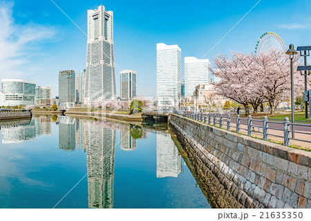 みなとみらい21の春(横浜市中区、運河パークより) 21635350