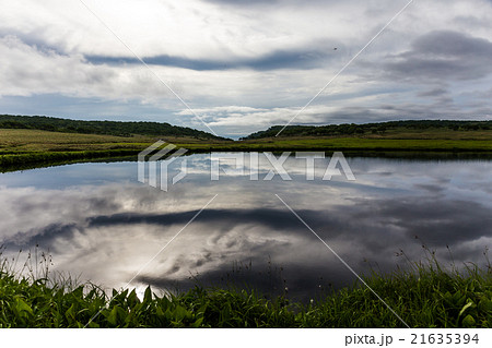 雨竜沼湿原の地塘。7月 21635394