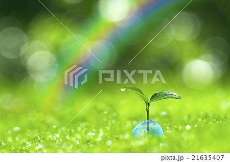 エコロジー 21635407