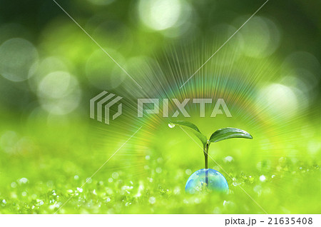 エコロジー 21635408