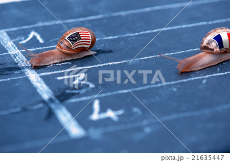 snails race metaphor about Usa against France 21635447