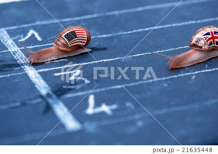 snails race metaphor about Usa against England 21635448