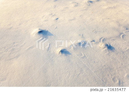 snow covered field   21635477