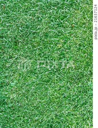 lawn texture 21637124