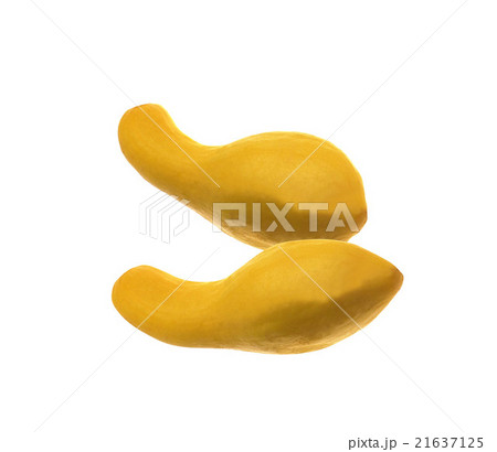 butternut squashes on white background butternut squashes on white background 21637125