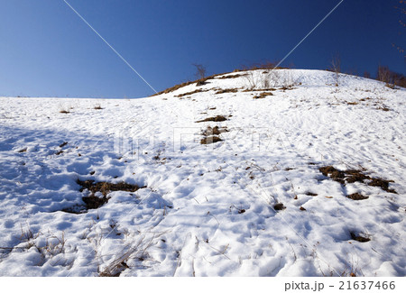 snow covered field  21637466