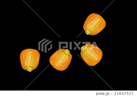 canned corn on black background 21637527