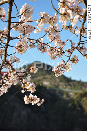 春の恵那峡 21638825