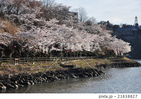 春の恵那峡 21638827